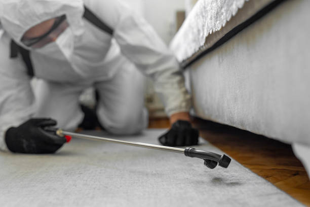 Professional Cockroach Control technician working in Wolfhurst, OH
