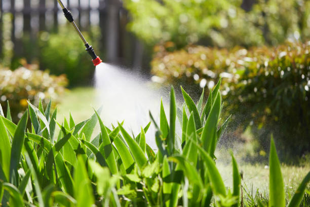 24/7 Emergency Cockroach Control experts in Wolfhurst, OH